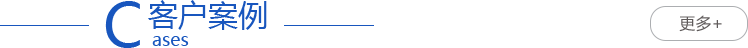 S(chng)S(chng)ò<span>Customer case</span>